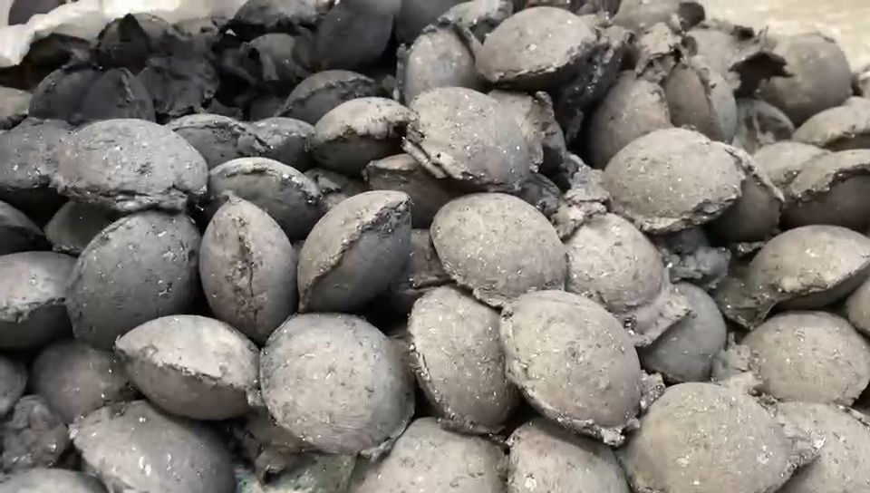 为什么选择Z6尊龙凯时除尘灰粘合剂